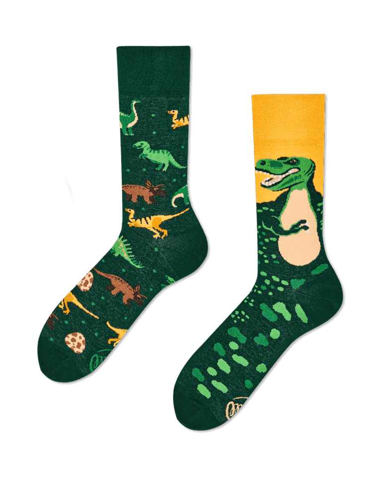 Dinosauří ponožky