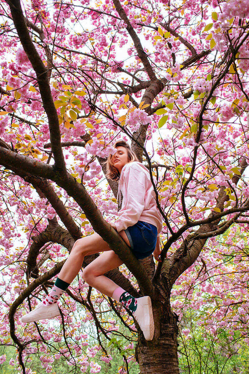 fleurs arbres coton Many Mornings Cherry Blossom Chaussettes multicolores avec cerises plantes 