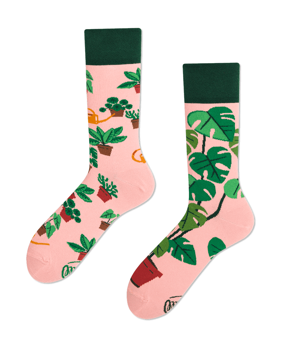 Rostlinné ponožky