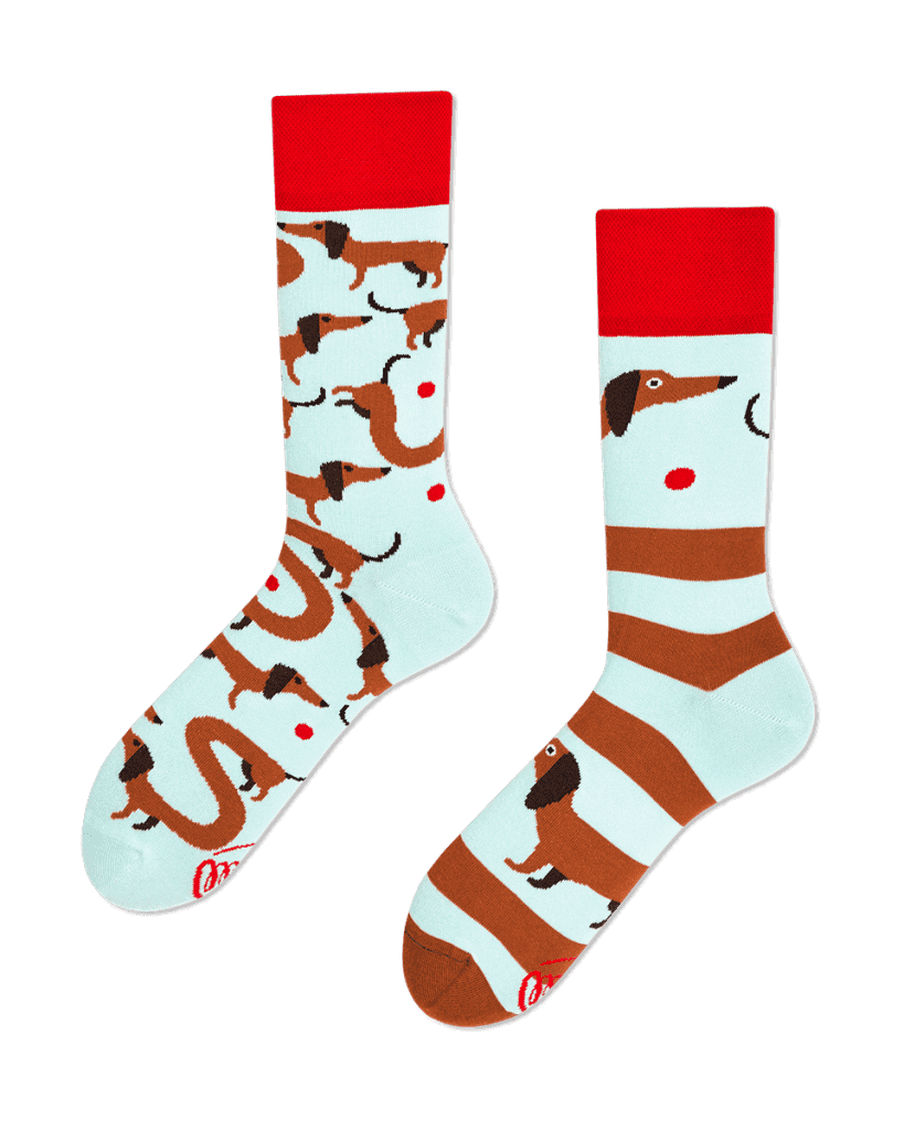 Ponožky s jazvečíkom