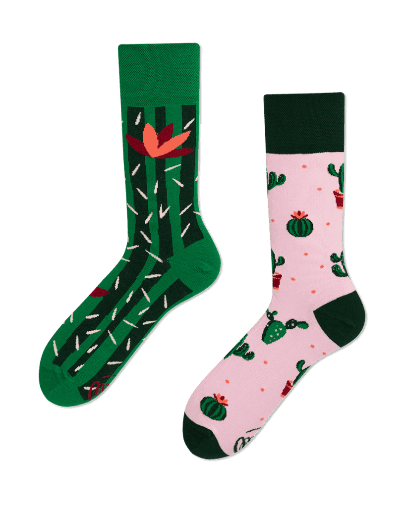 Kaktusové ponožky