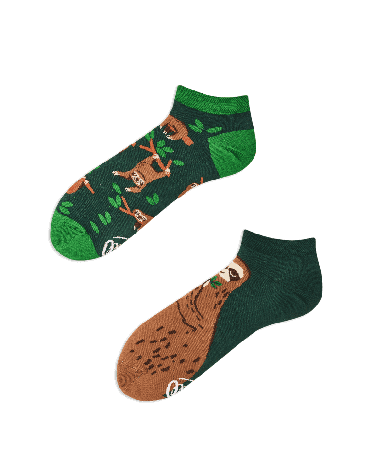 Lenochodí nízké ponožky