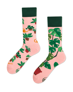 PLANT LOVER - Chaussettes motif plantes en pot