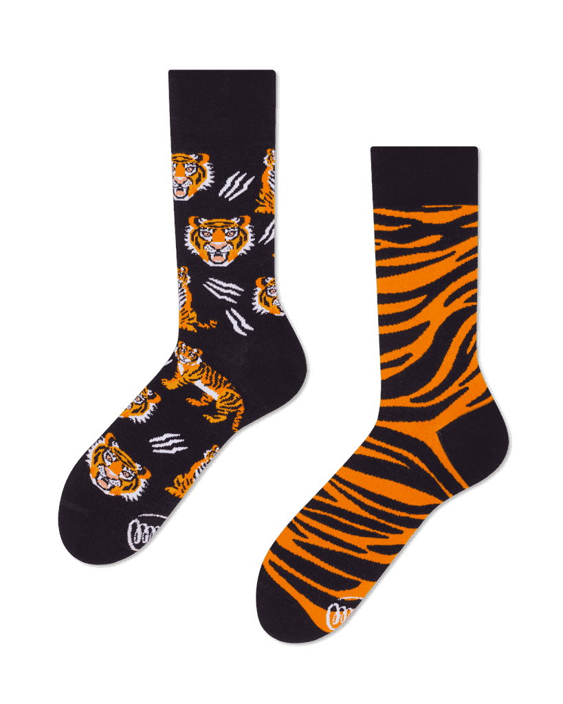 FEET OF THE TIGER