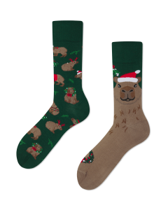MERRYBARA