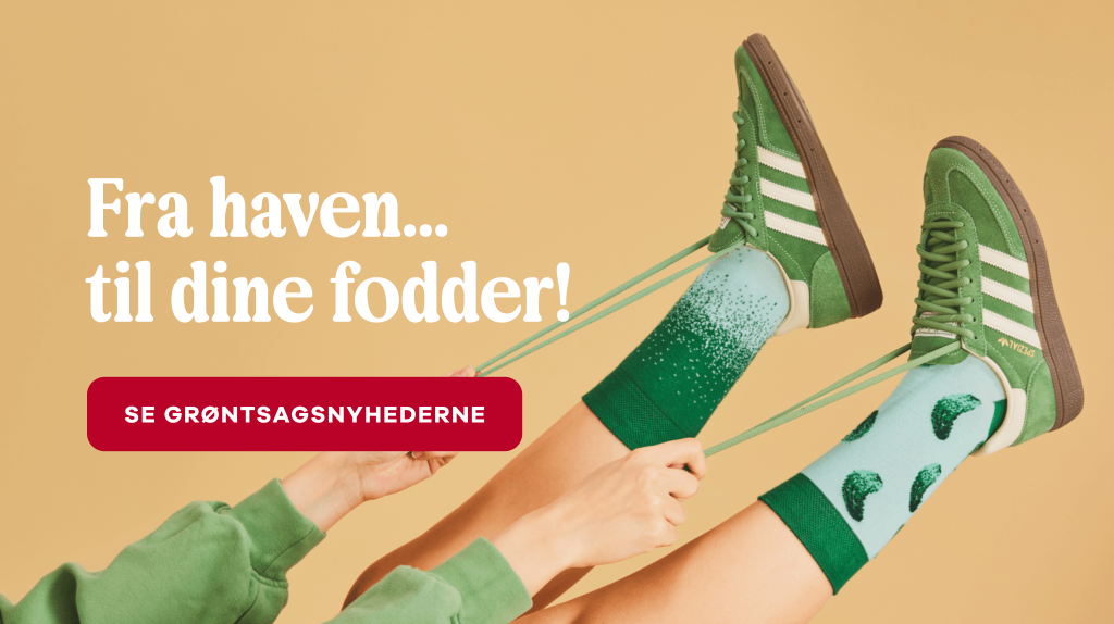 Tidsbegrænset tilbud