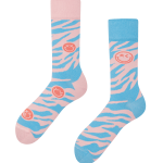 HAZY ZEBRA S.W.SMILEY