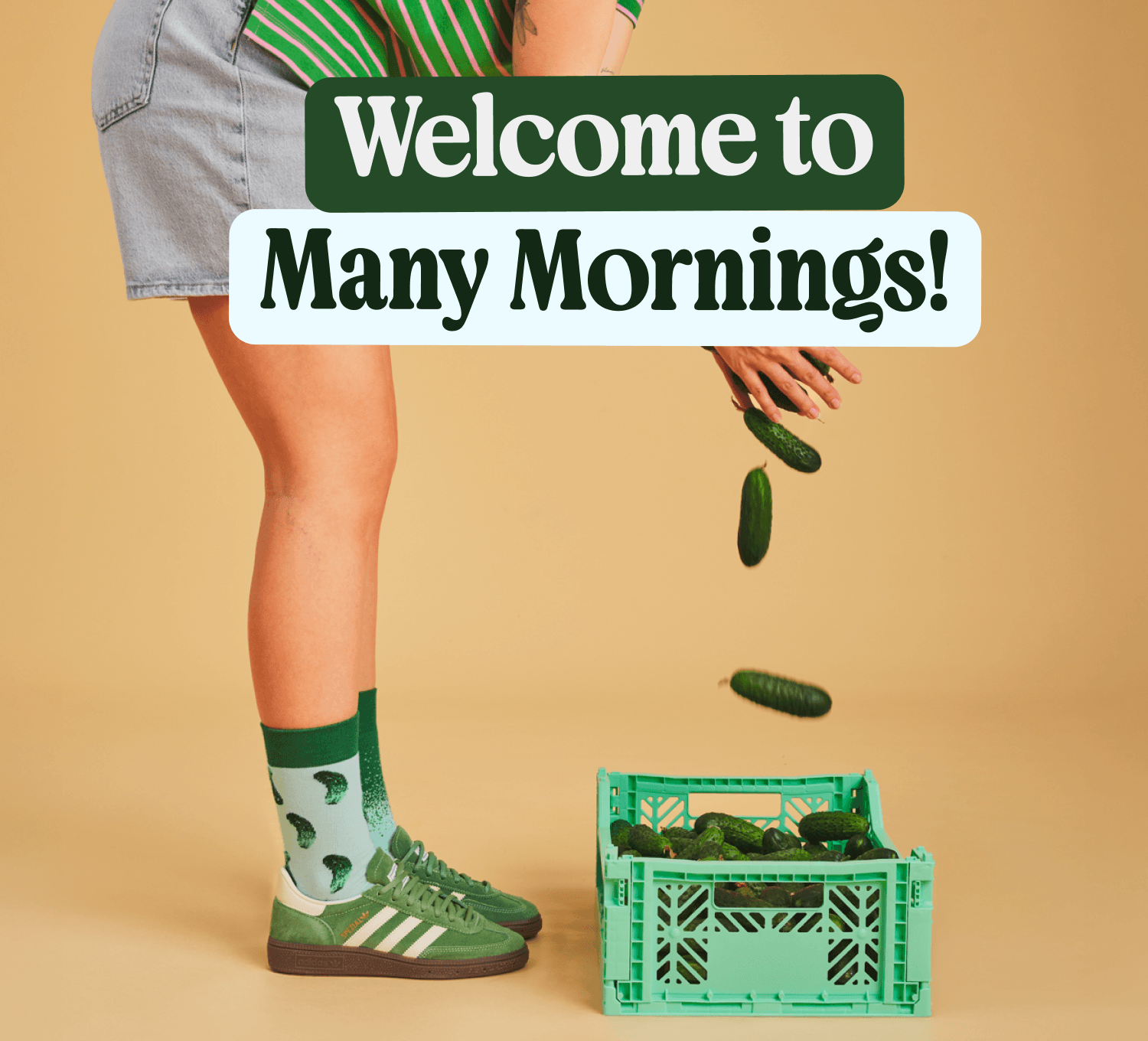 Welcome to Many Mornings!