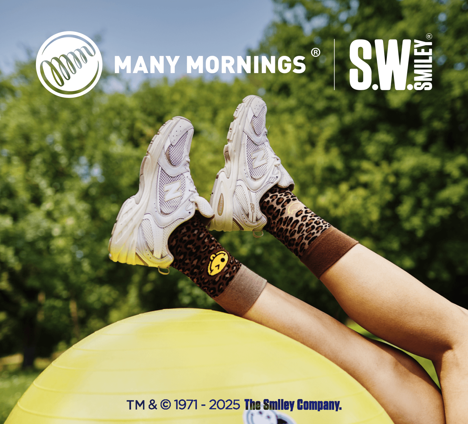 Many Mornings x S.W.Smiley