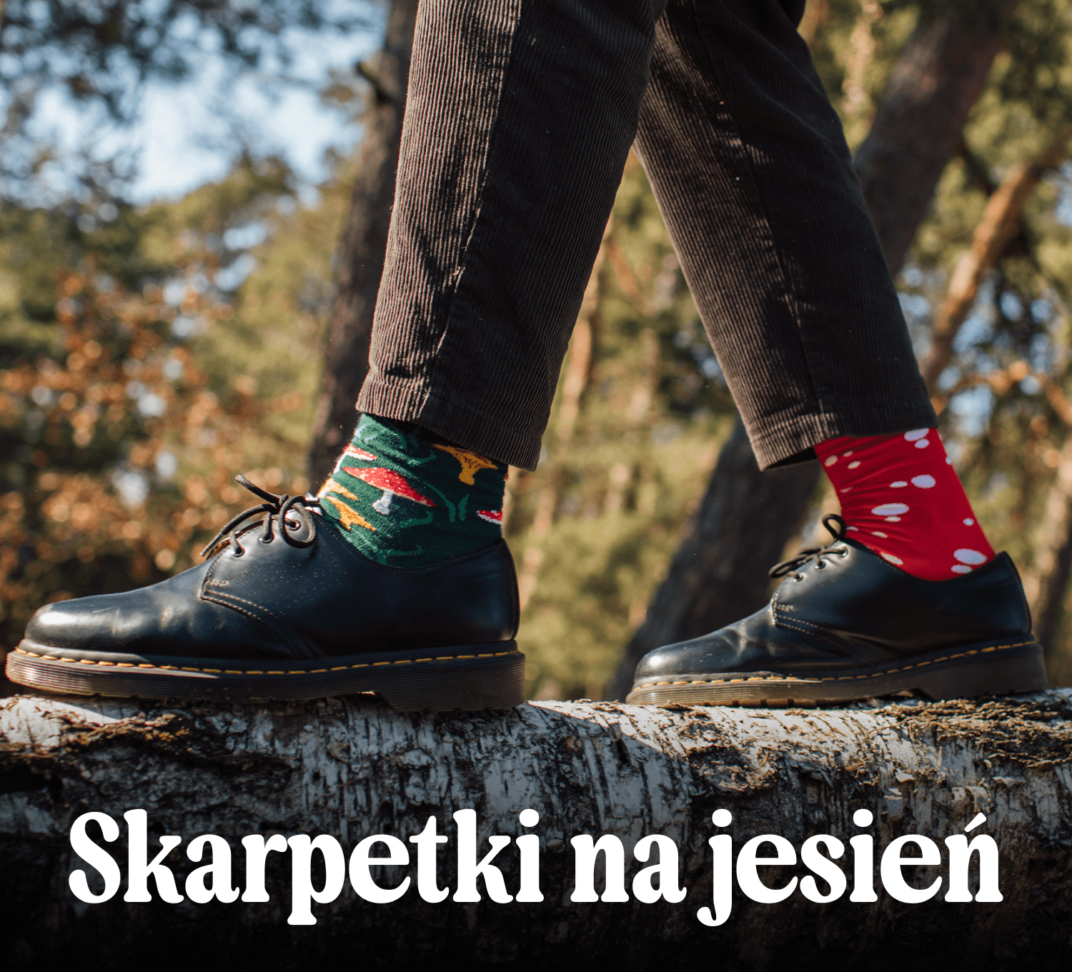 Jesień ma swoje kolory.