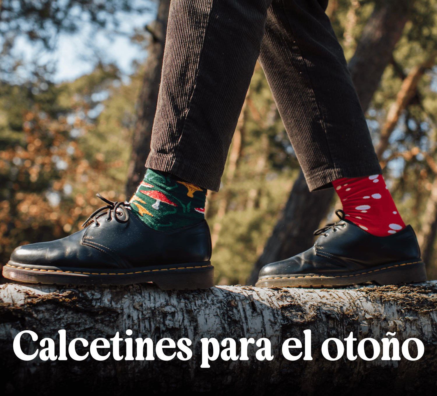 El otoño tiene sus colores.