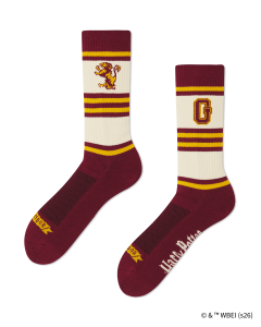 HOUSE GRYFFINDOR