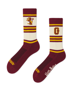 HOUSE GRYFFINDOR