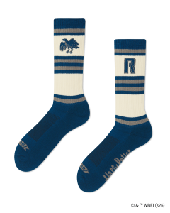 HOUSE RAVENCLAW