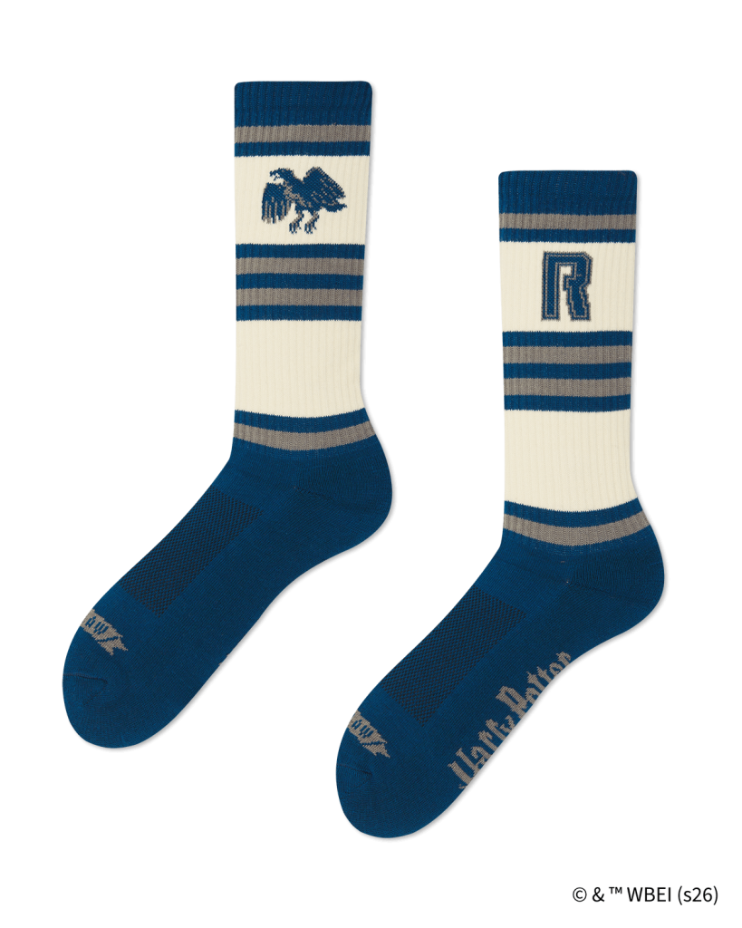 HOUSE RAVENCLAW