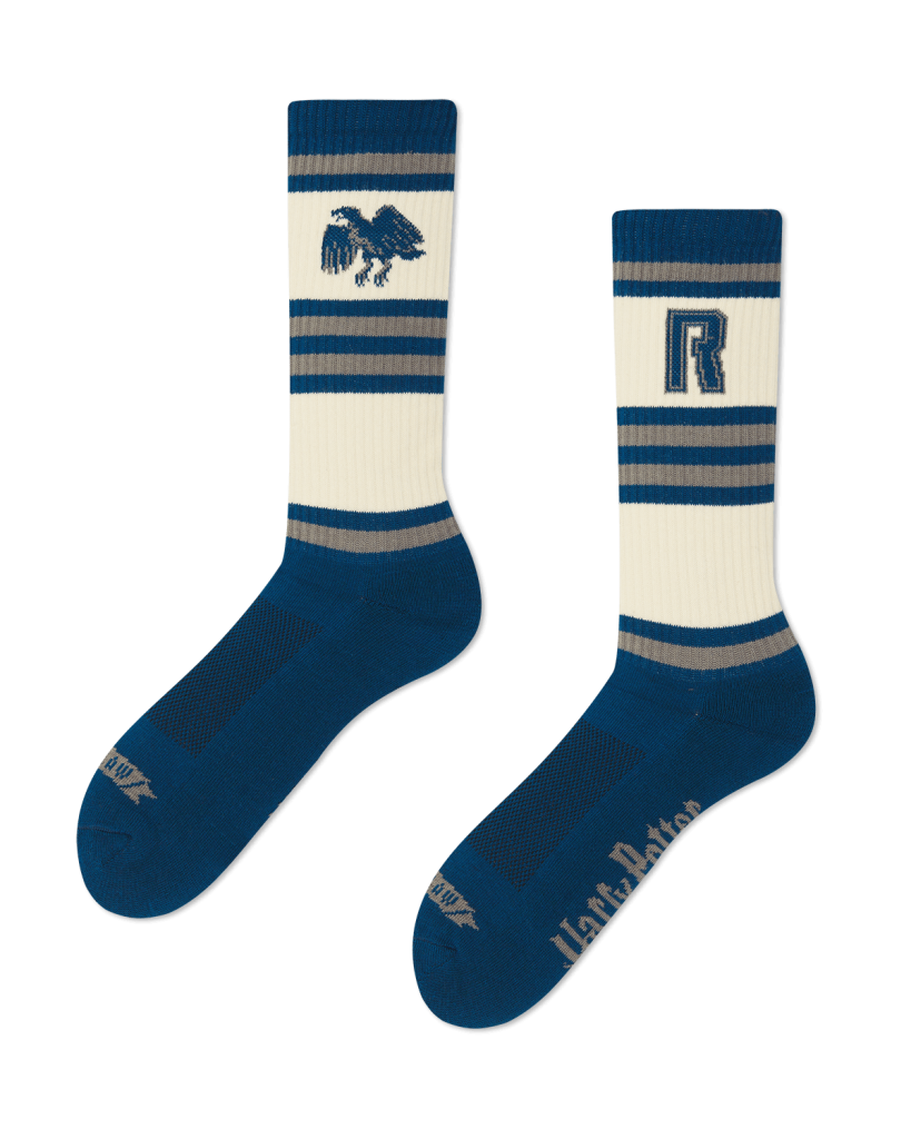 HOUSE RAVENCLAW