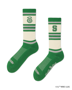 HOUSE SLYTHERIN