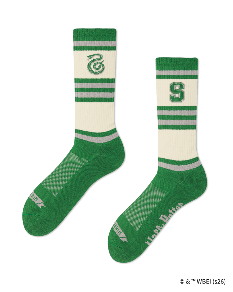 HOUSE SLYTHERIN