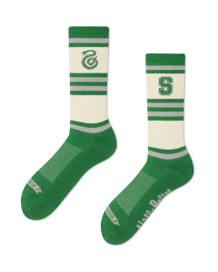 HOUSE SLYTHERIN